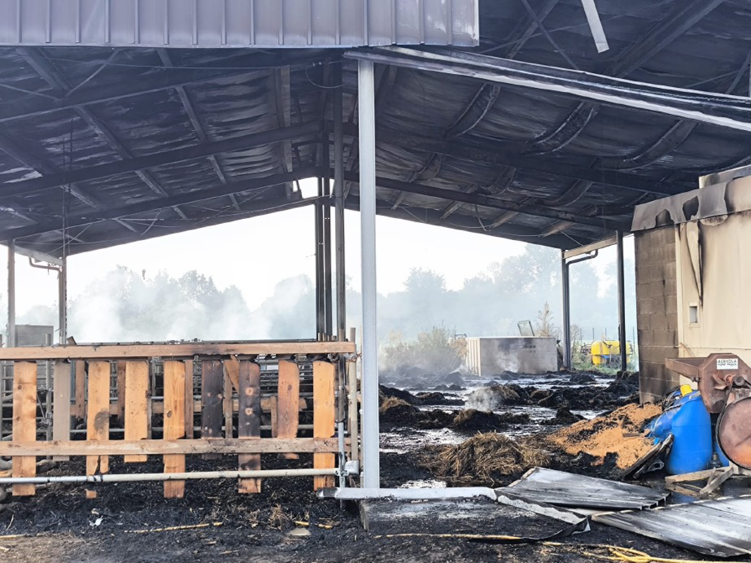 Scannabue - Incendio doloso alla cascina Bombelli