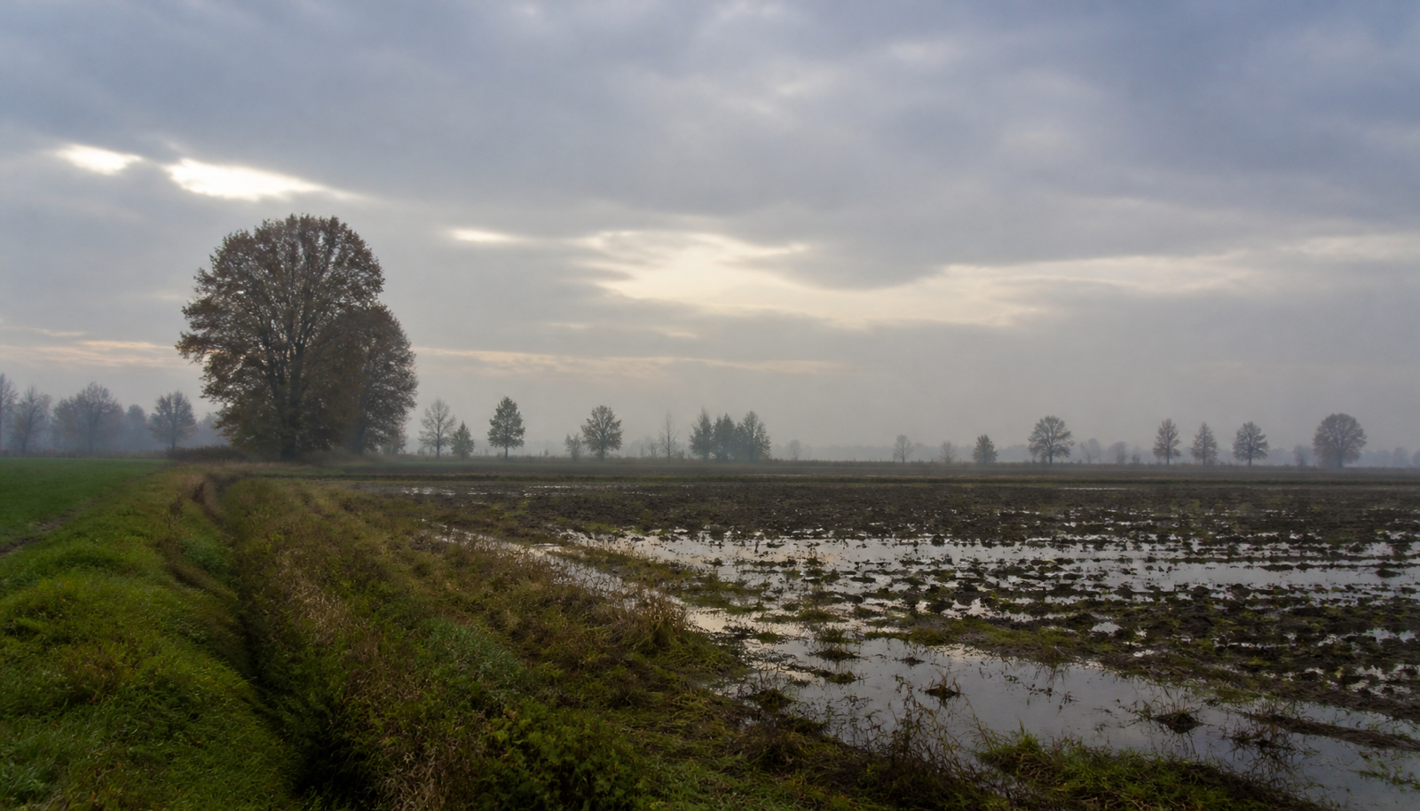 Nuvole e nebbia