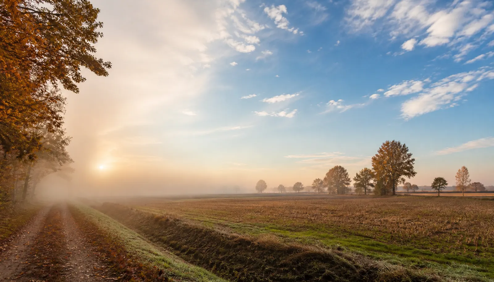 Arriva la nebbia