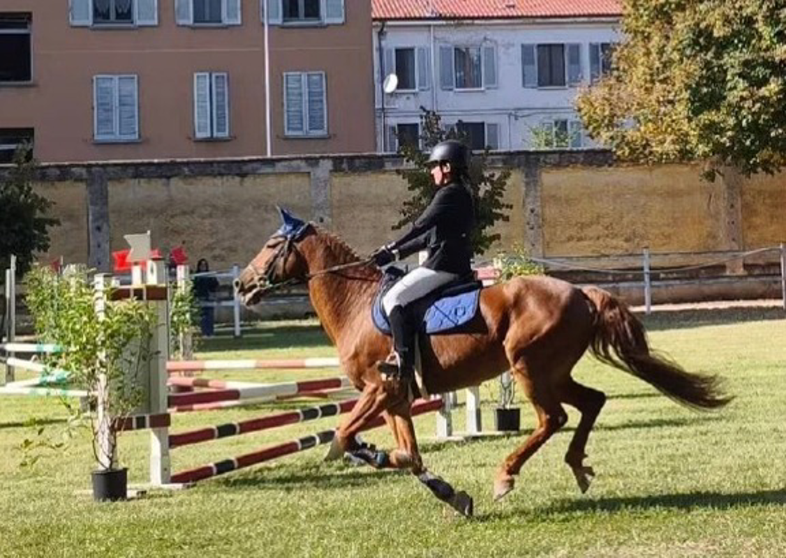 Crema - Concorso promozionale agli ex Stalloni