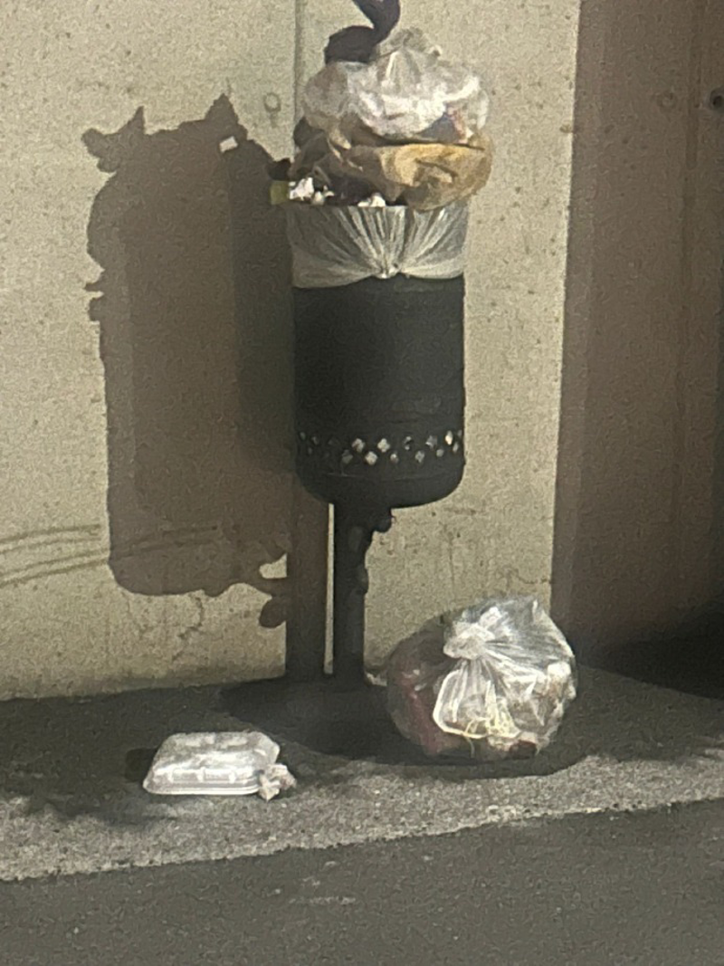 Crema - Controllo sui 32 cestini, ma ce ne sono più di 500