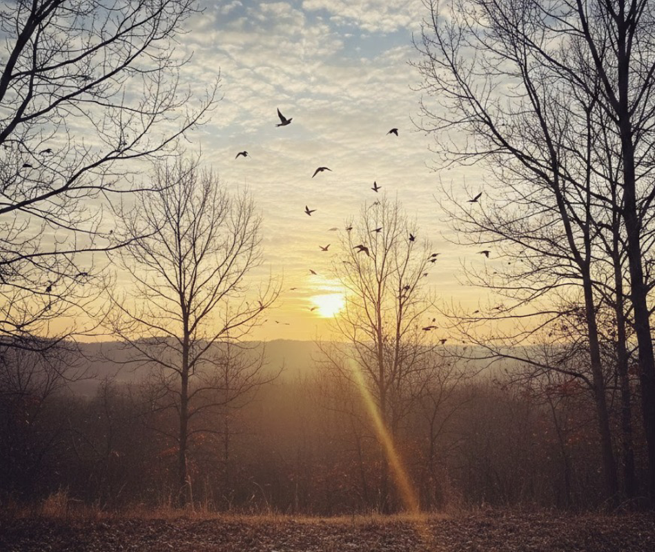 Temperature in aumento