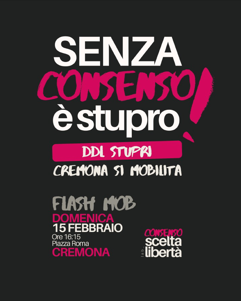 Crema - No a questo Ddl stupro