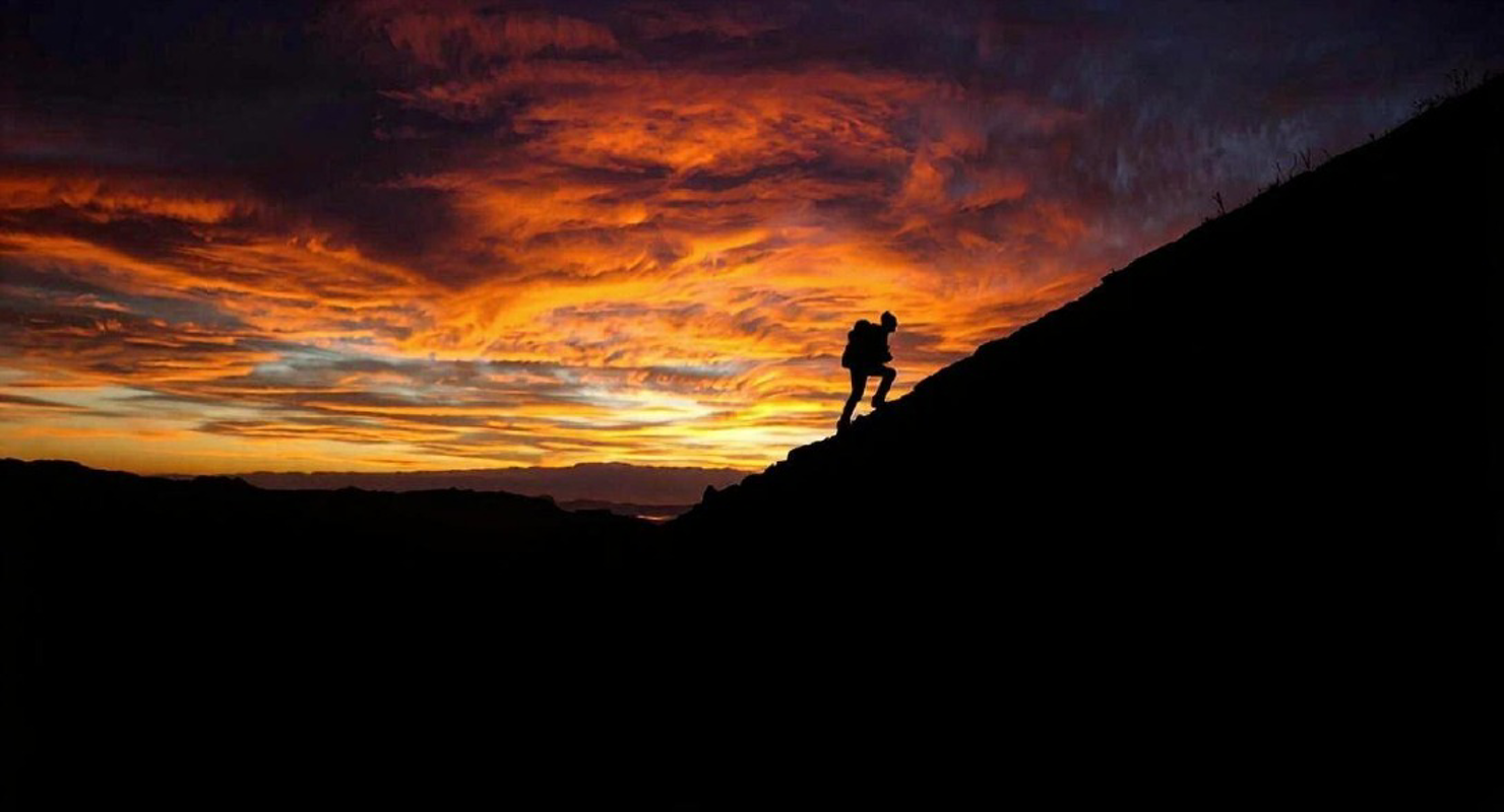 Segno favorito: Cancro