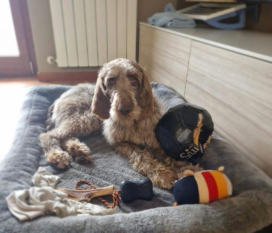 Vaiano Cremasco - Una casa per Milù e Nonno Gigi