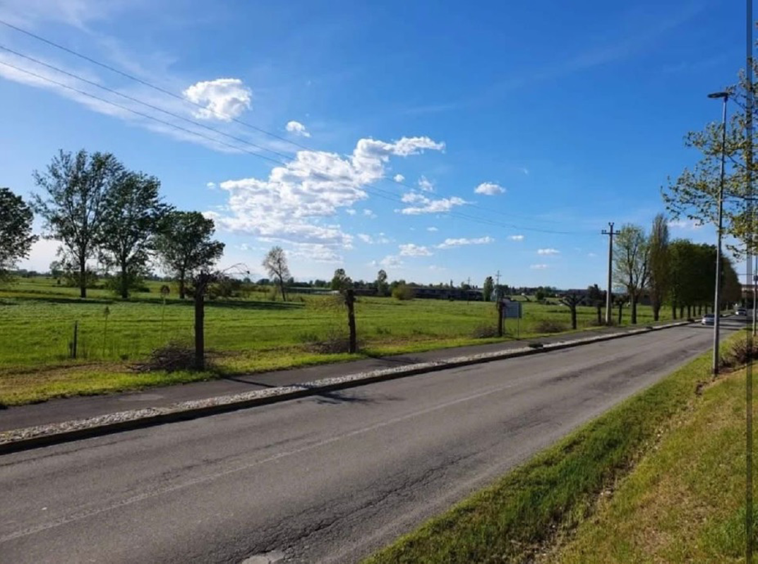 Bagnolo Cremasco - Giù le querce