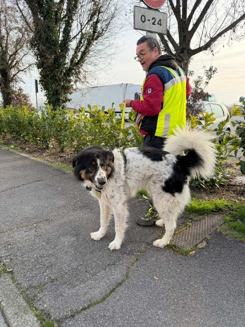 Casale Cremasco - Campionato mantrailing