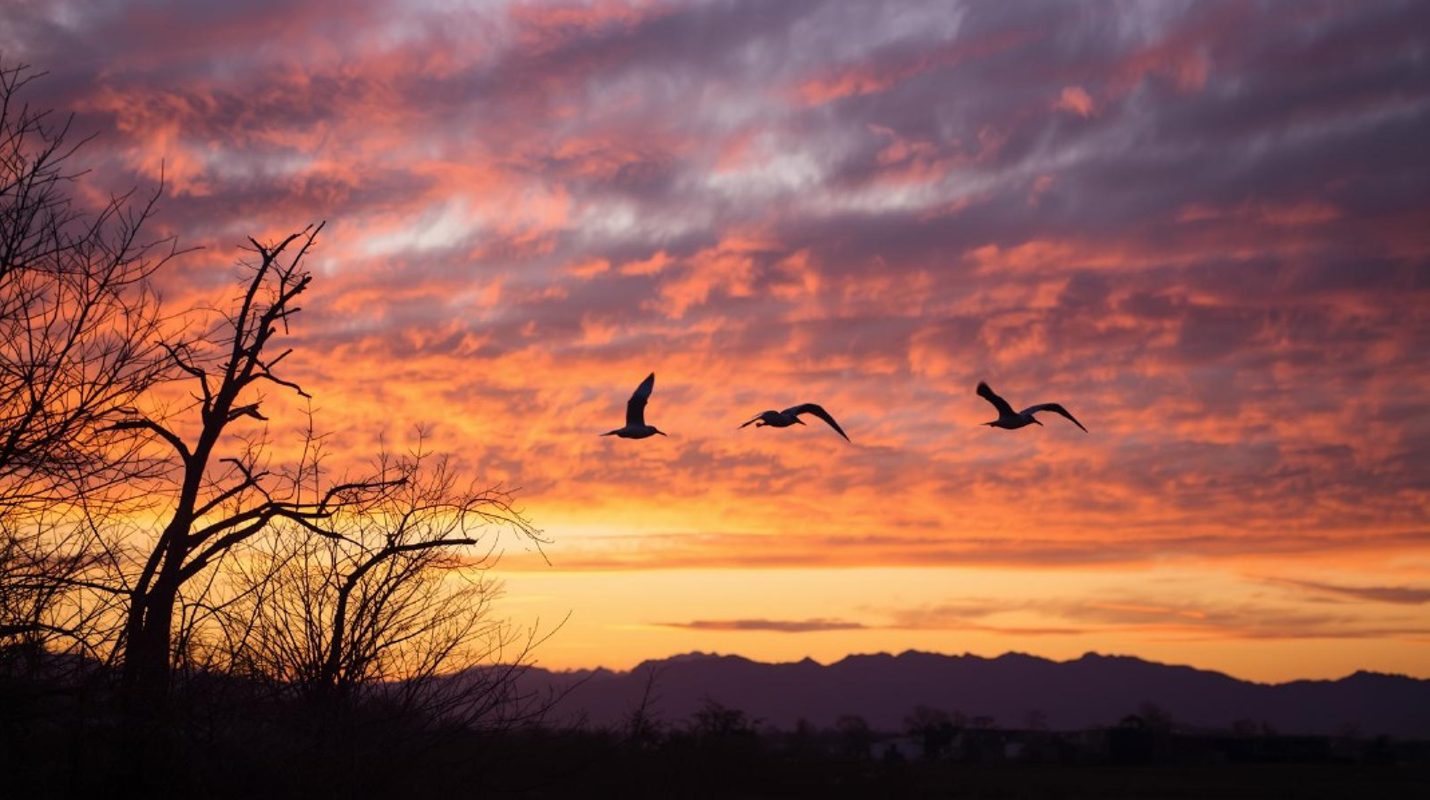 Qualche nuvola nel cielo