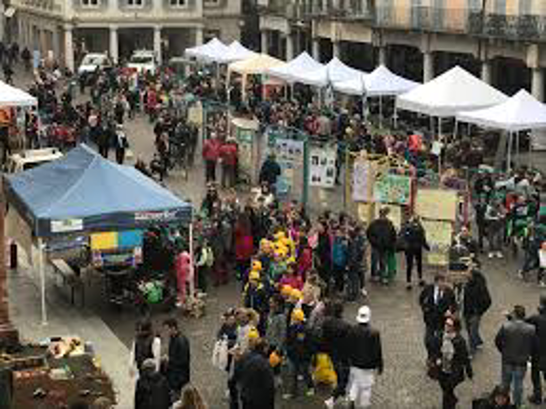 Crema - Arriva la festa dell’albero