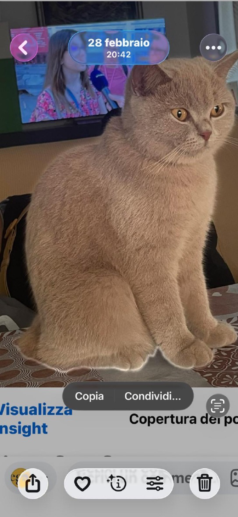 Scannabue - Sparita Pesca