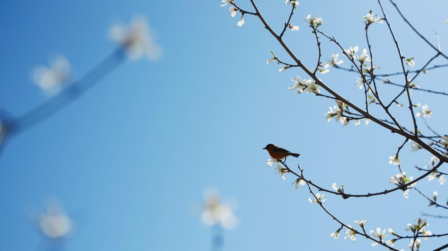 Una bella giornata soleggiata