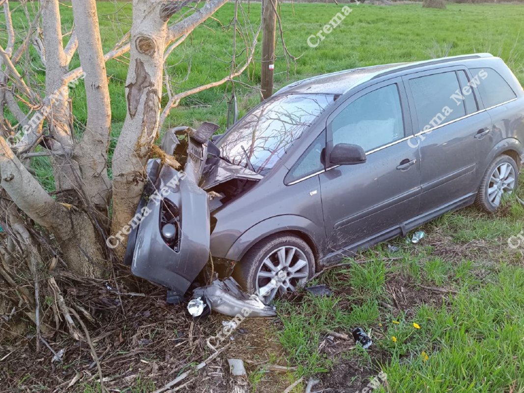 Palazzo Pignano - Contro un albero