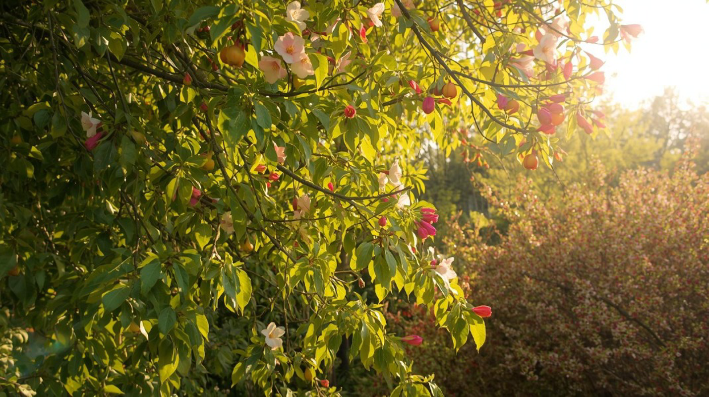 Sole tutto il giorno