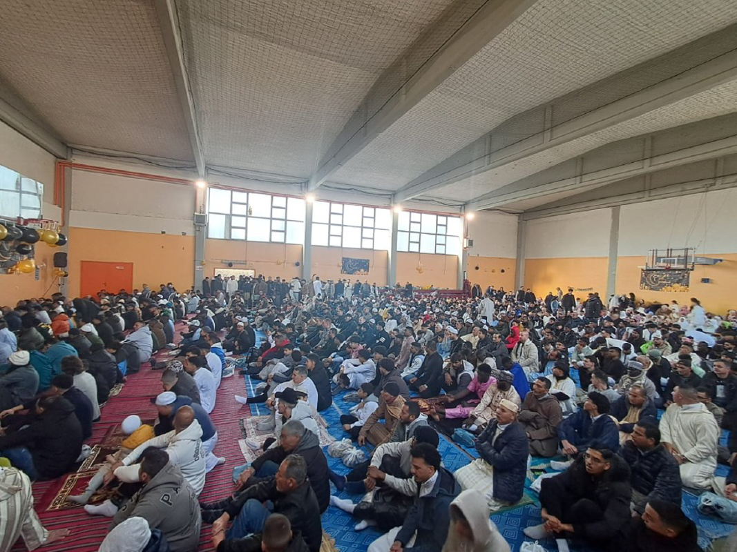 Crema - Palestra Serio