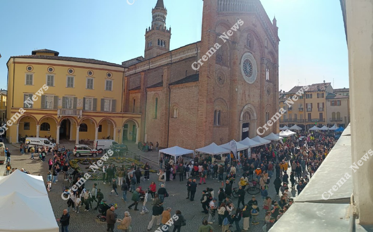 Crema - Albero, che festa