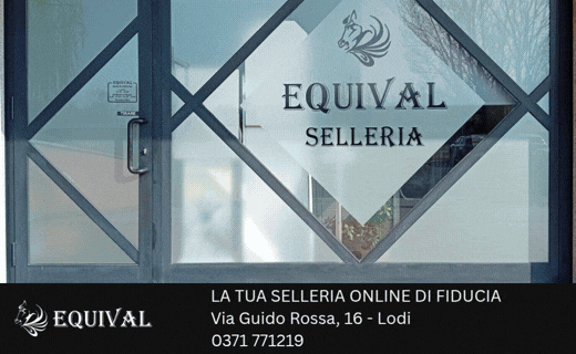 Selleria Equival