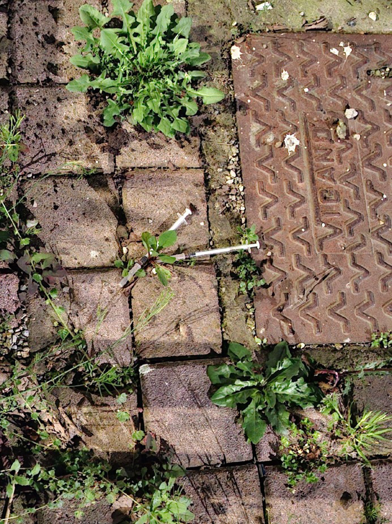 Rivolta d'Adda - Due siringhe nel Giardino delle Farfalle