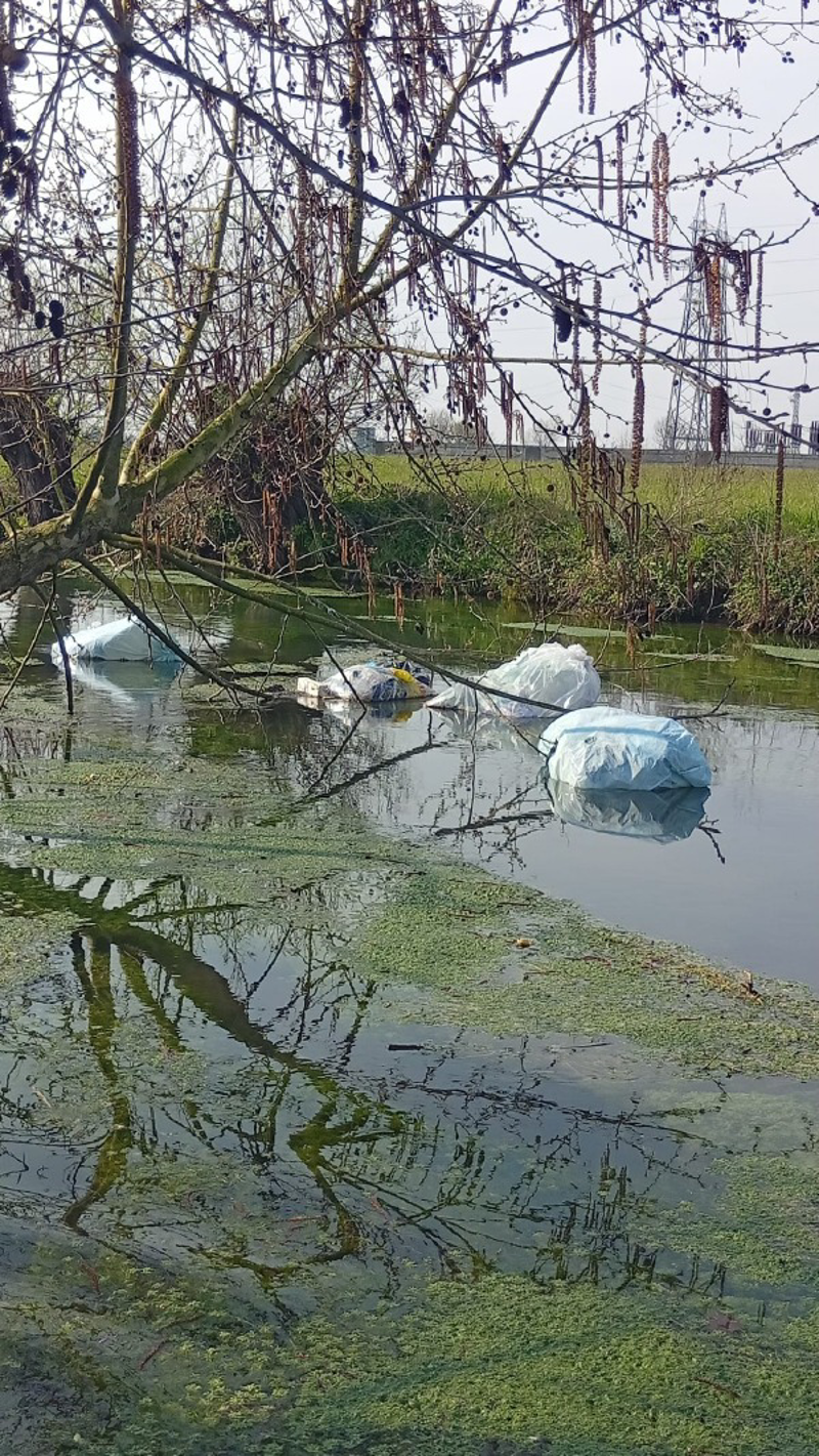 Palazzo Pignano - Rifiuti nel Tormo