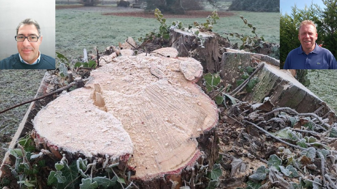 Spino - Piante abbattute: perché?