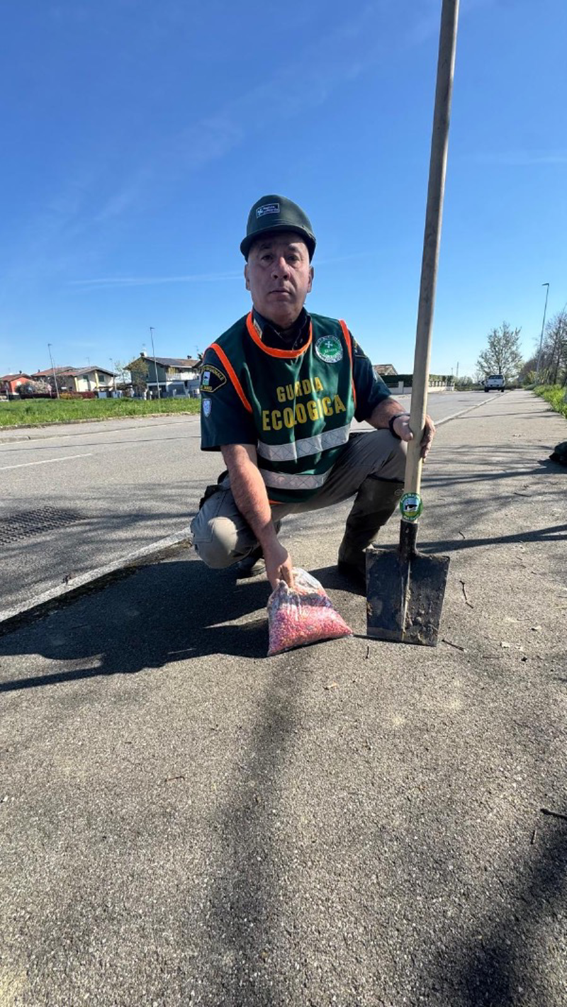 Ricengo - Ancora esche velenose