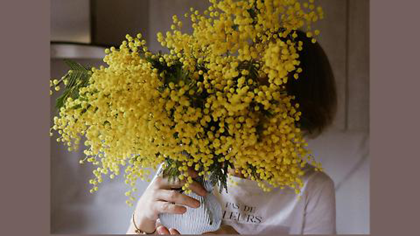 Cremasco - Festa della Donna