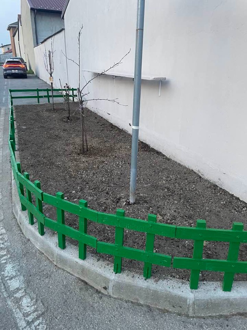 Trescore - Francesco Rho riqualifica un'aiuola