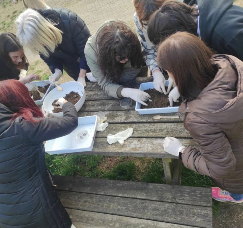 Chieve - Alla scoperta degli impollinatori