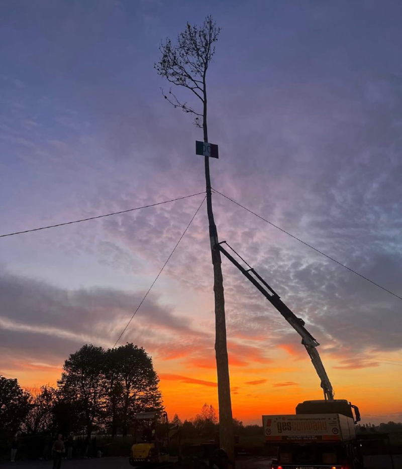 Dal territorio - La pianta dei diciottenni