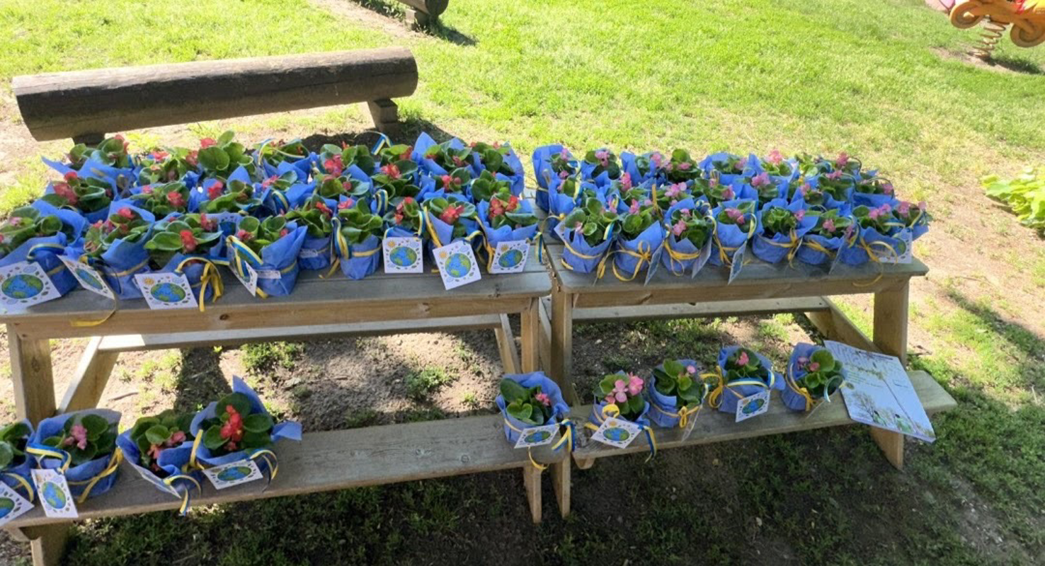 Chieve - Sessanta nuove piante