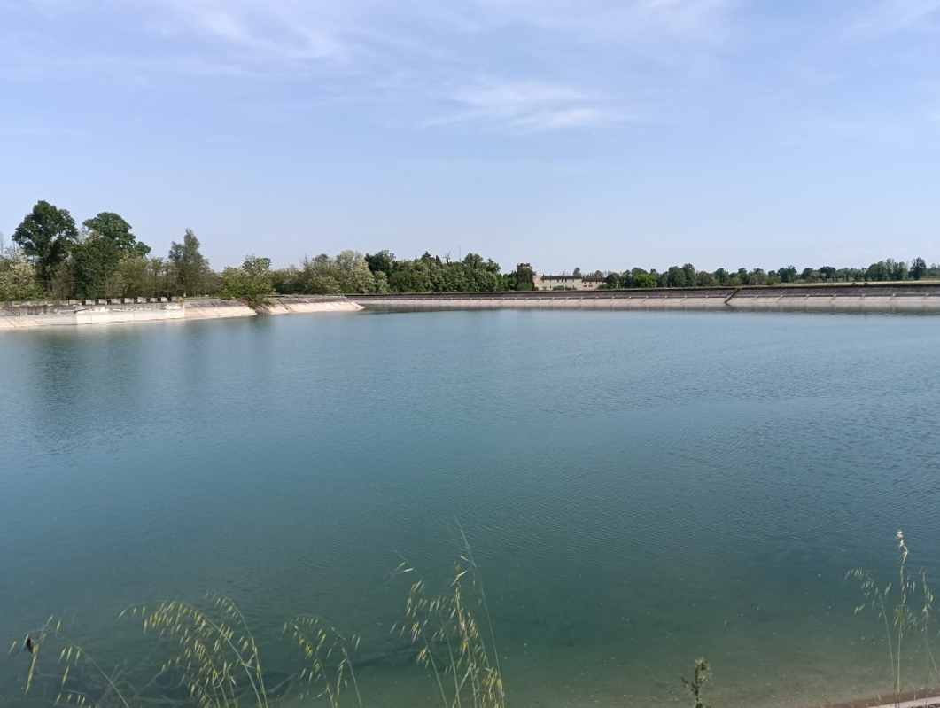 Dal territorio - Annega per salvare il cane