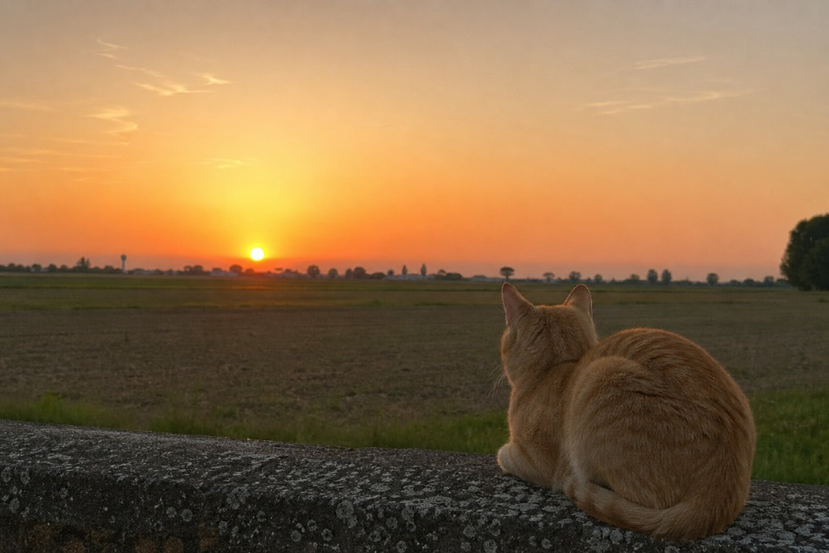 Una splendida giornata