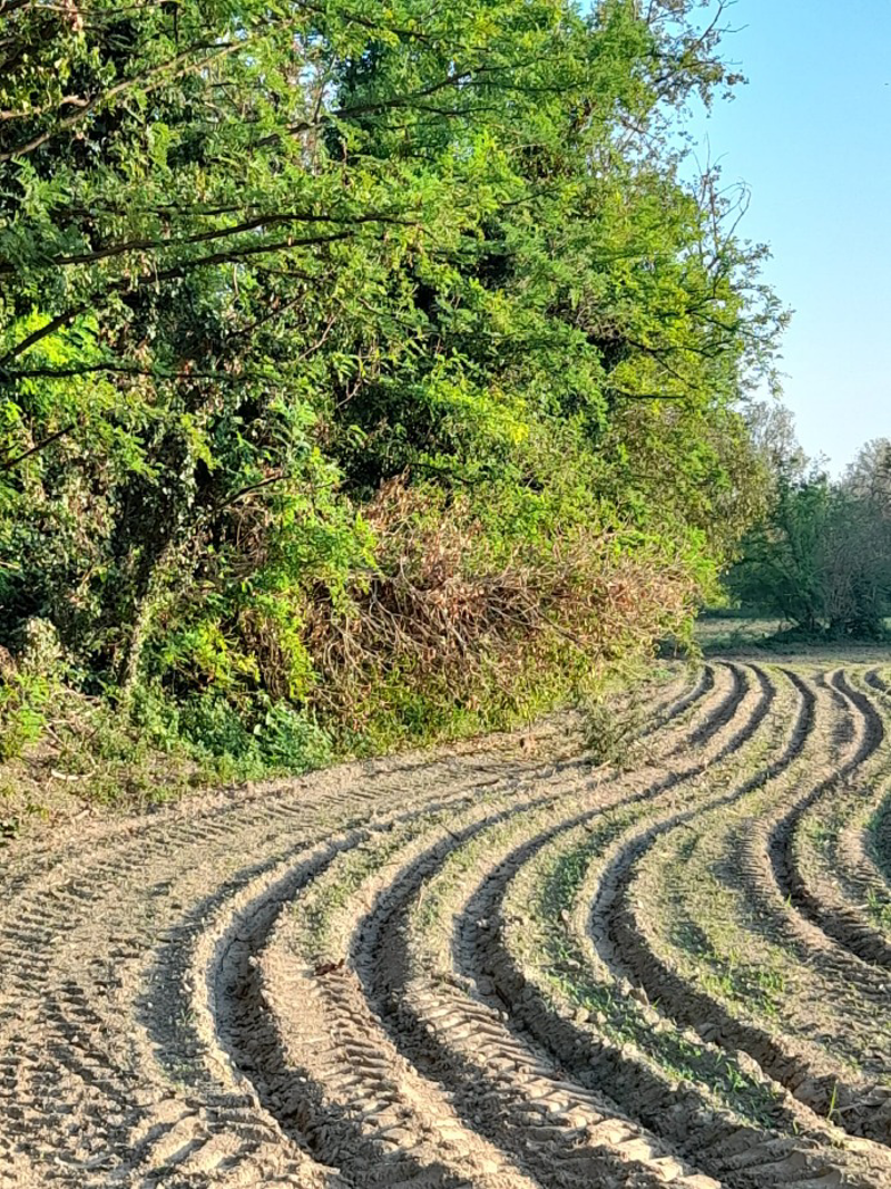Crema - Agricoltura ecologica
