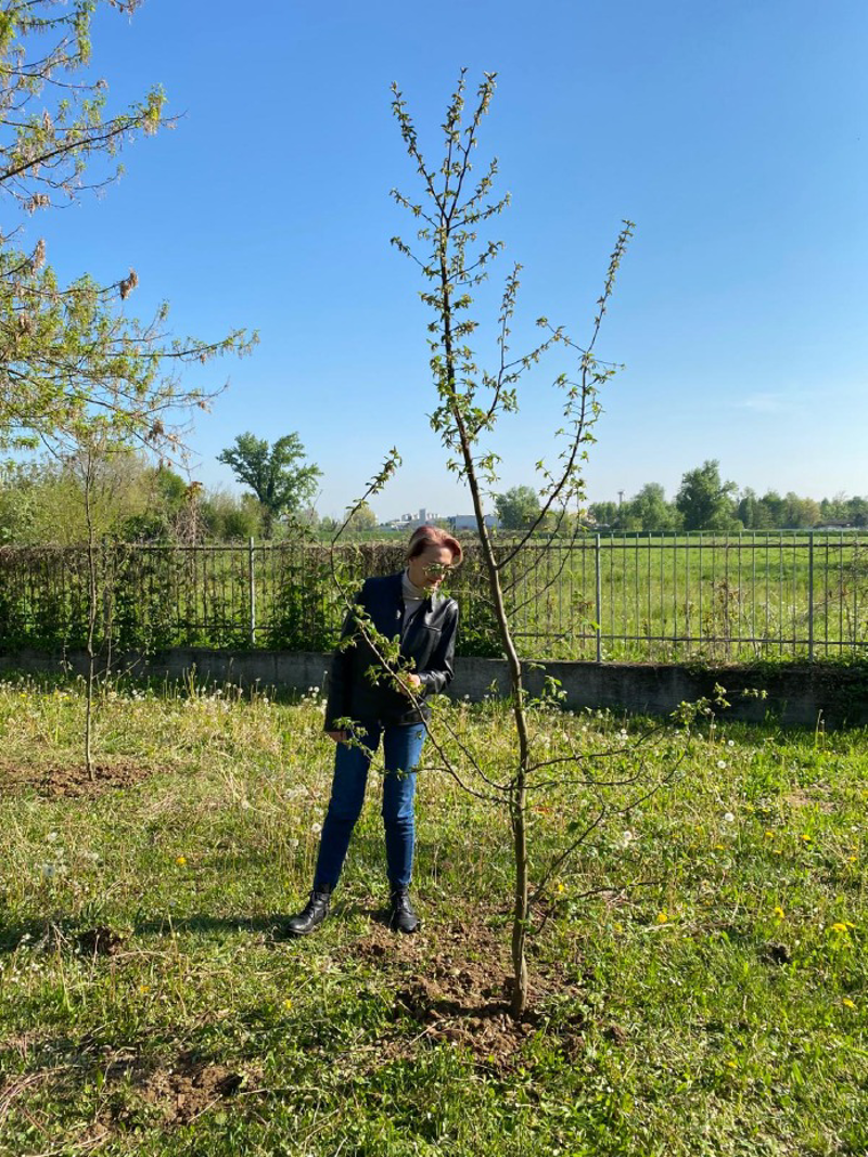 Sergnano - Cento piante