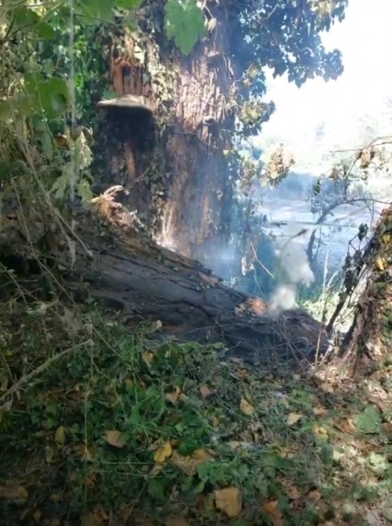 Pianengo - Incendio doloso nel Parco del Serio