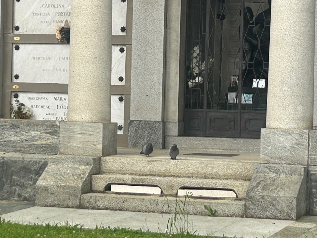 Crema - Sistemate il cimitero