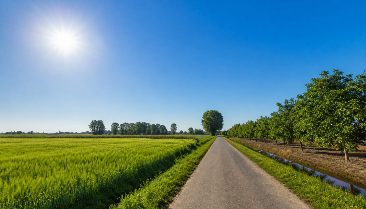 Sole e cielo sereno