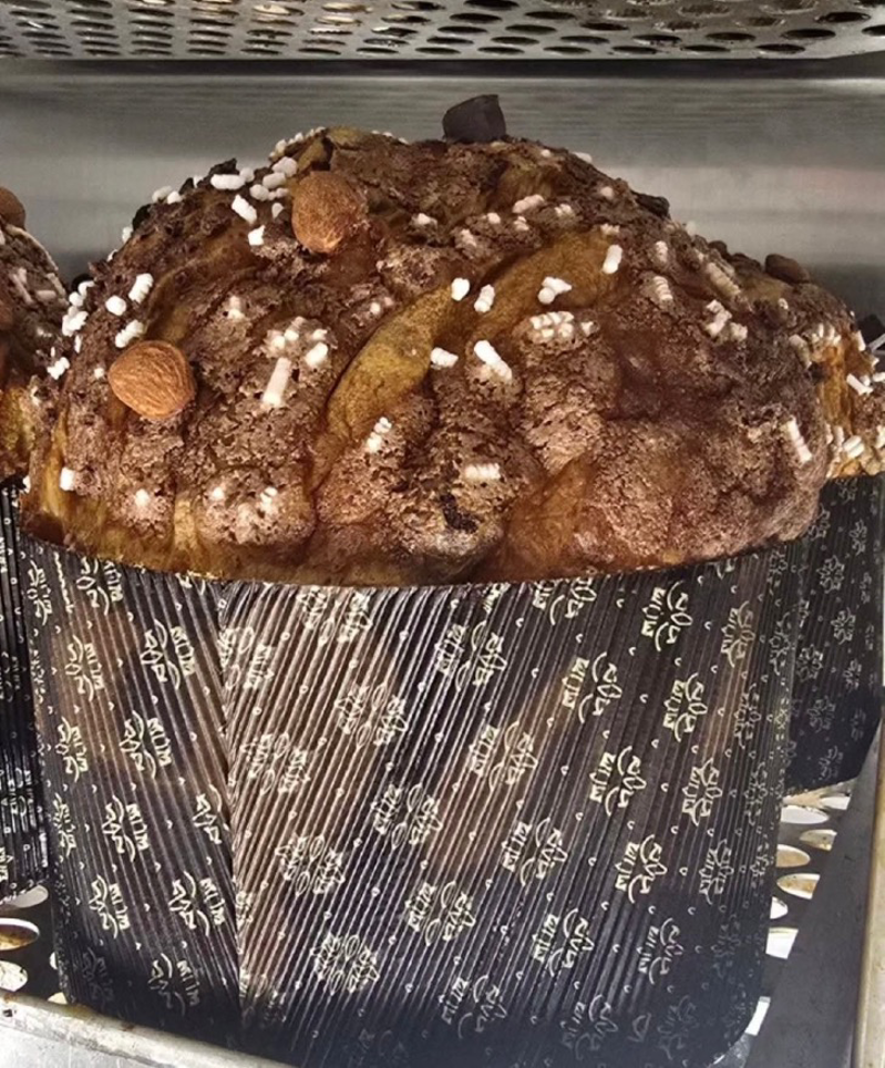 Crema - Panettone in gara