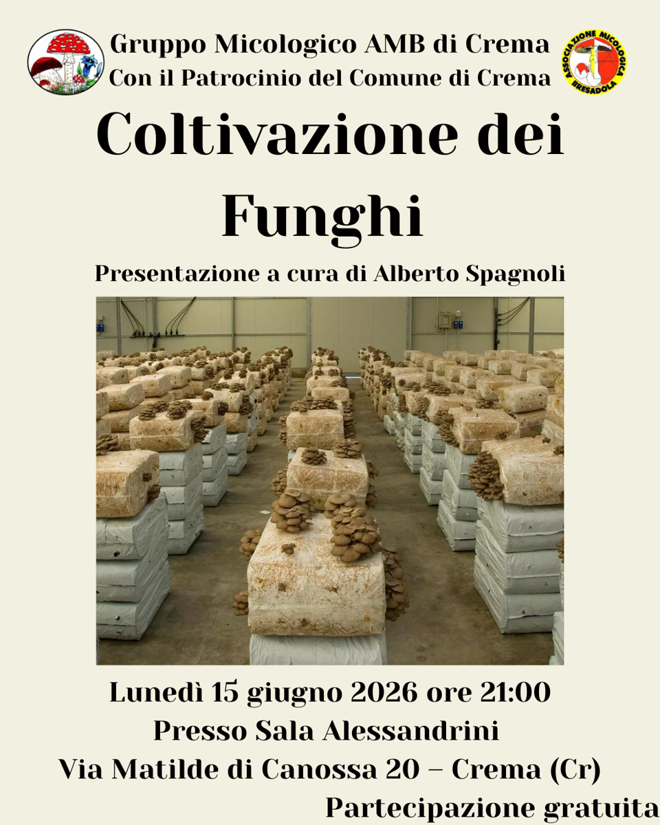 Cosa succede questa settimana nel Cremasco