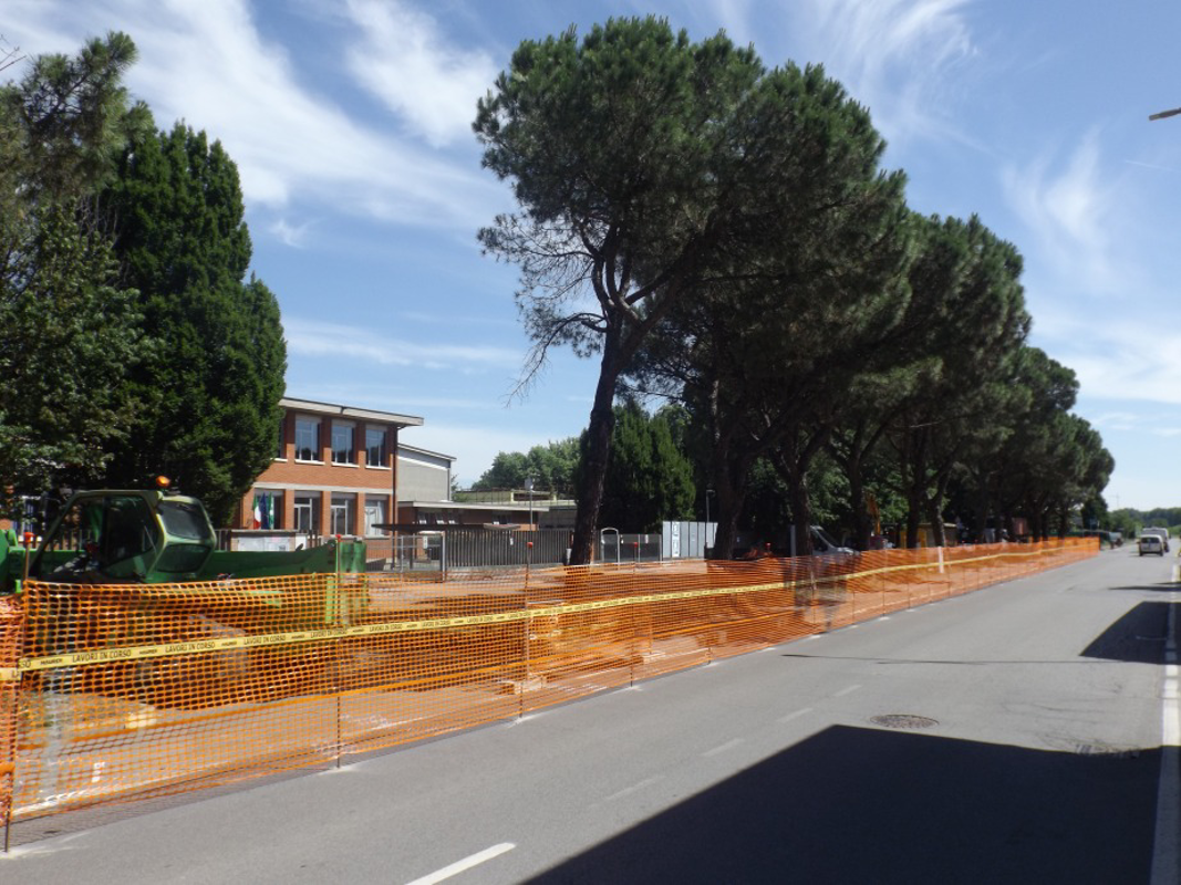 Agnadello - Via alla riqualificazione, giù i pini