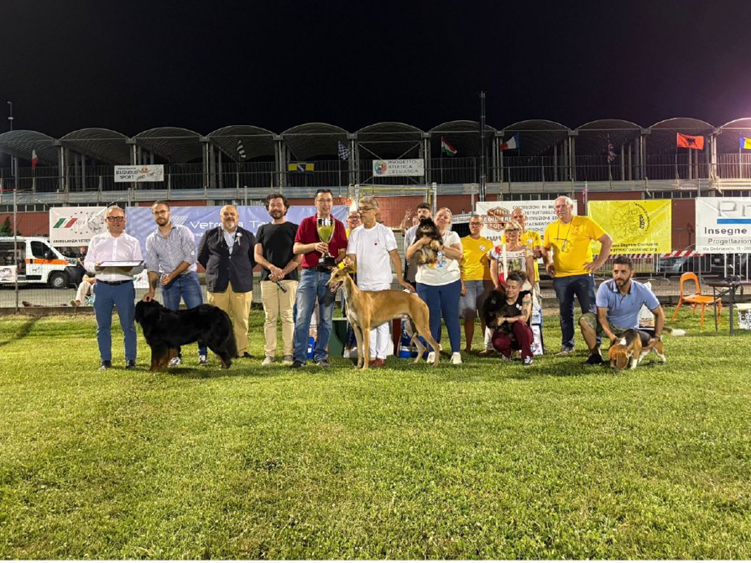 Bagnolo - Cento cani in passerella