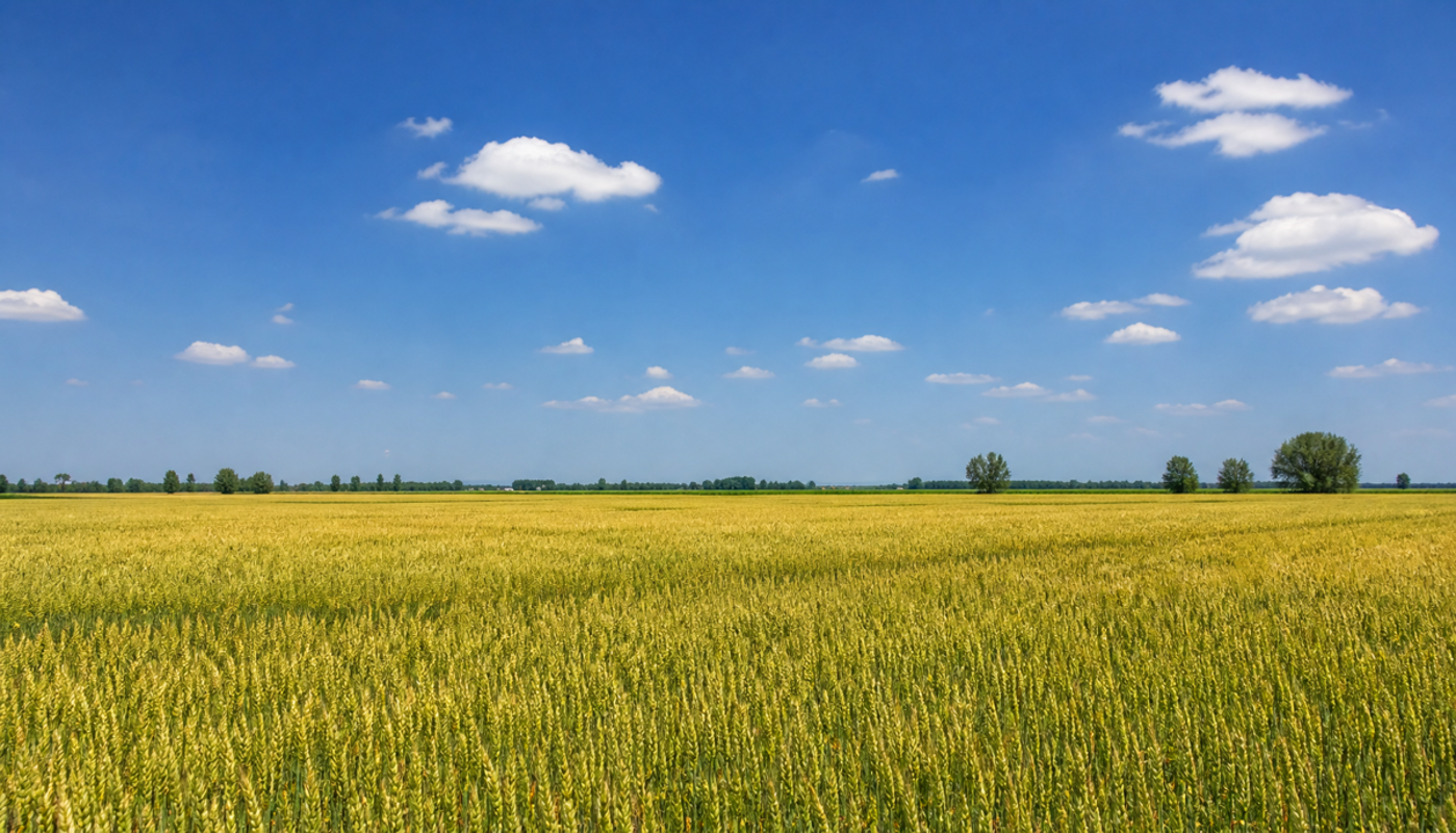 Sole, nuvole e caldo