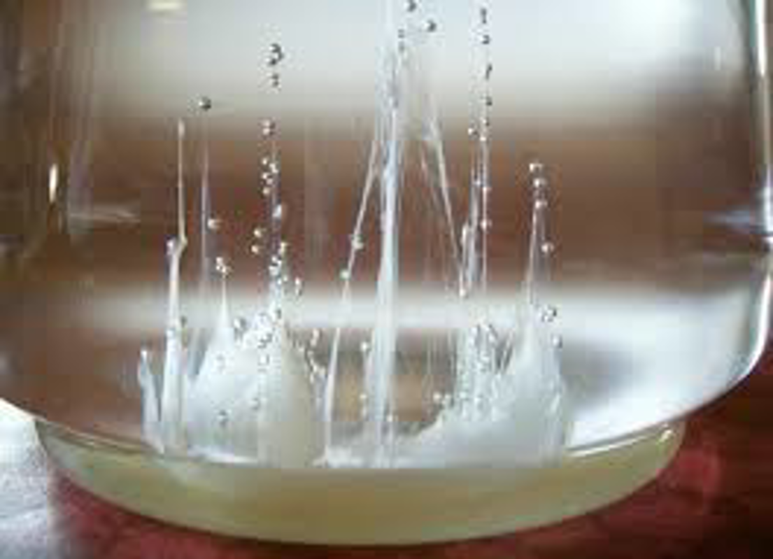 Crema - La barca di San Pietro