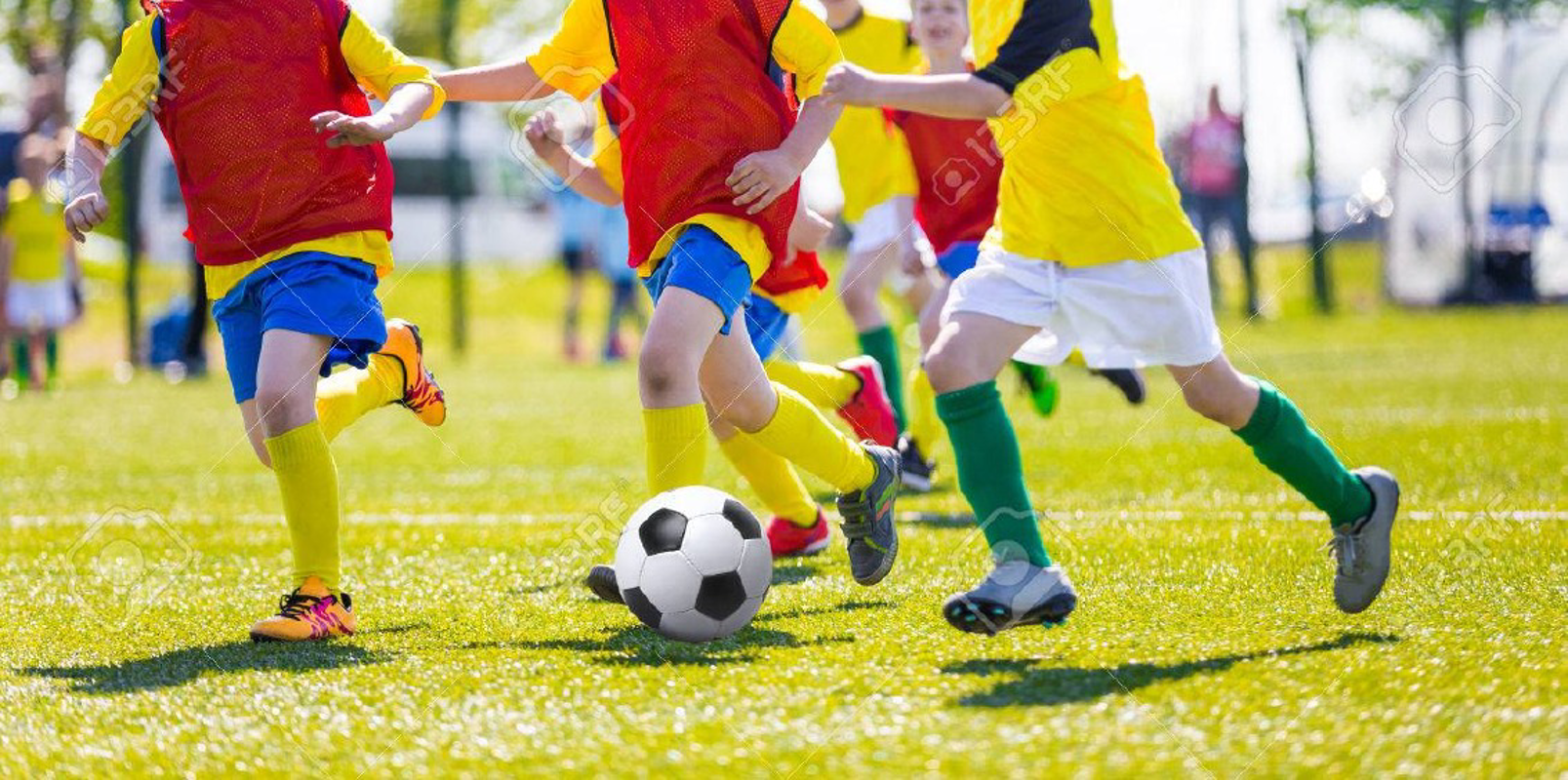 Calcio - Pergo, open day