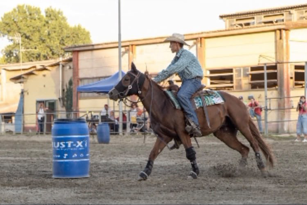 Spino - Filippo Sali in cattedra