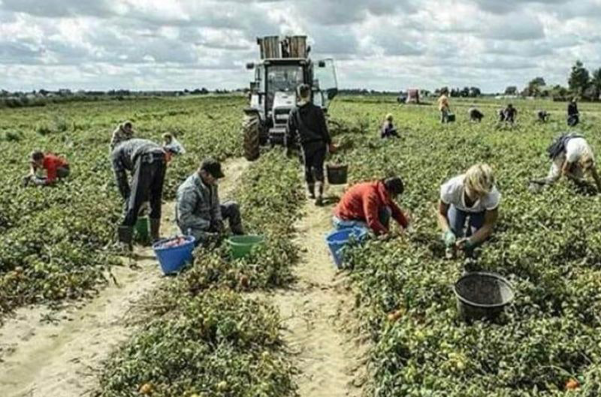 Dal territorio - Colpo di sole, muore 19enne