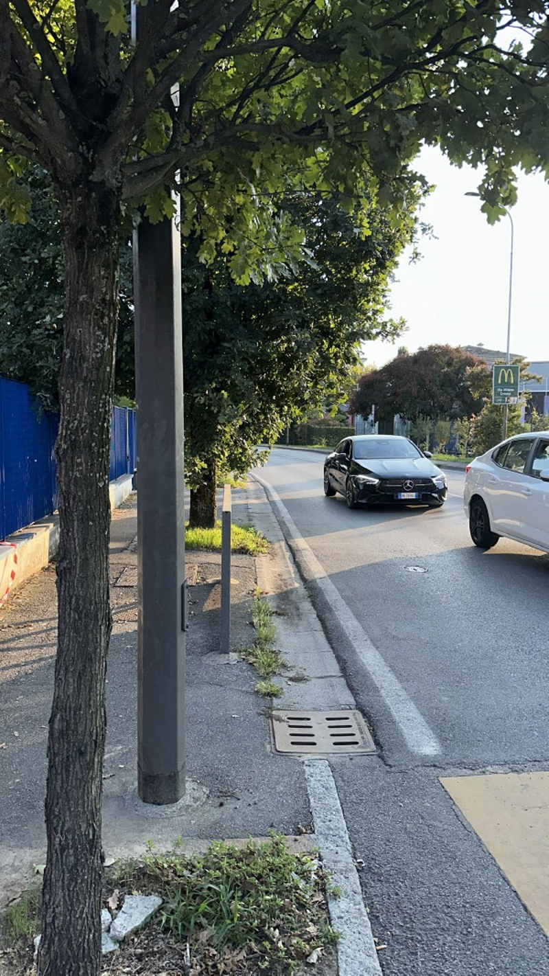 Crema - Rami ingombranti in via IV Novembre