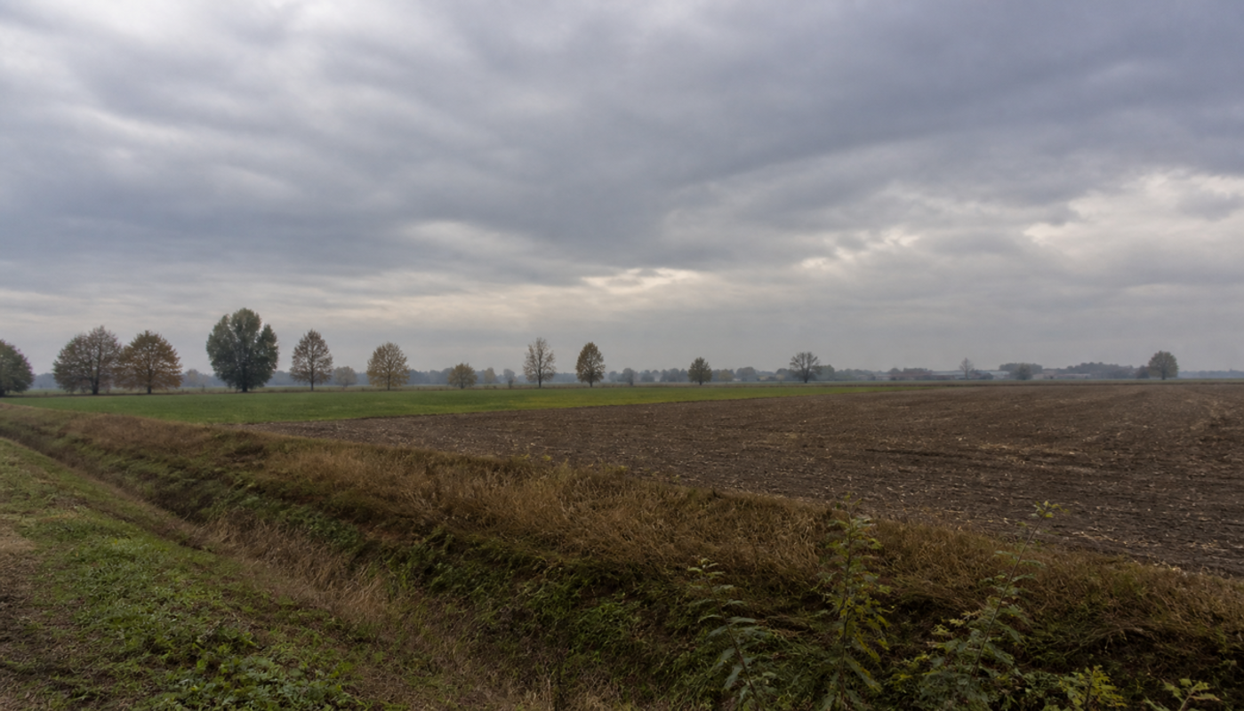 Una giornata grigia